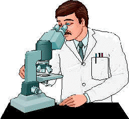 wpe9.jpg (10233 bytes)